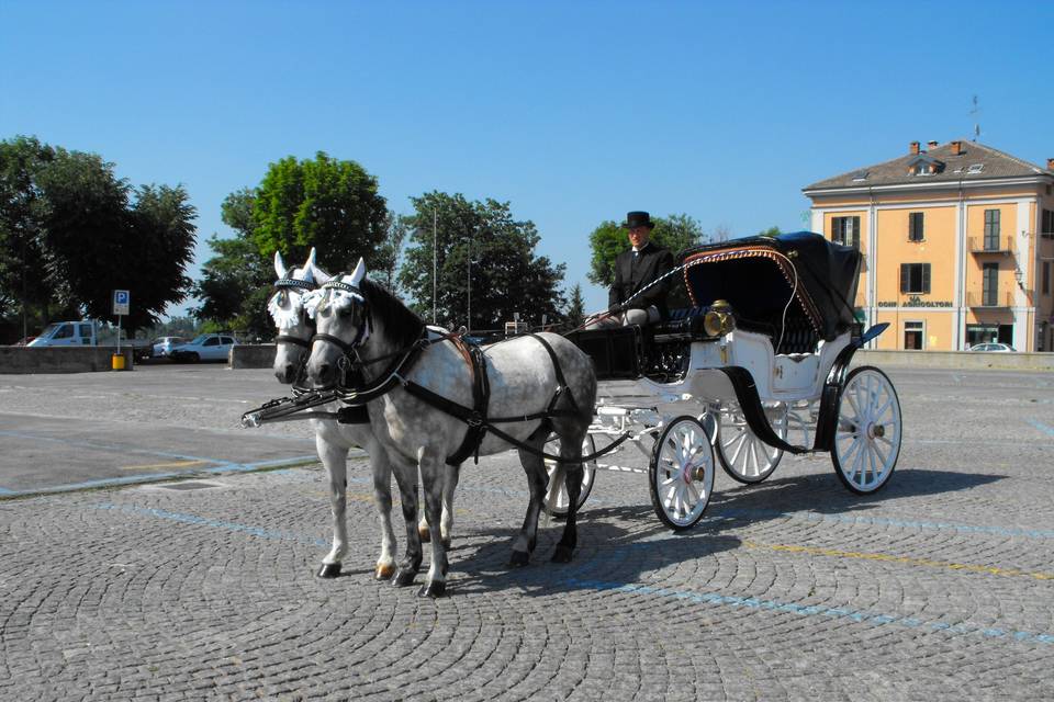 Servizi in carrozza