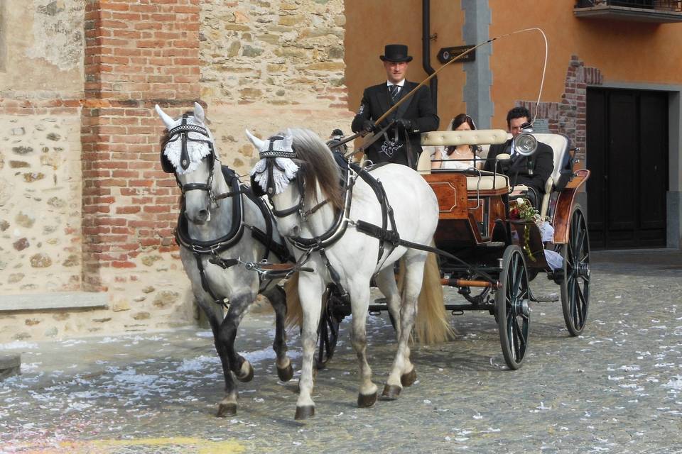 Servizi in carrozza