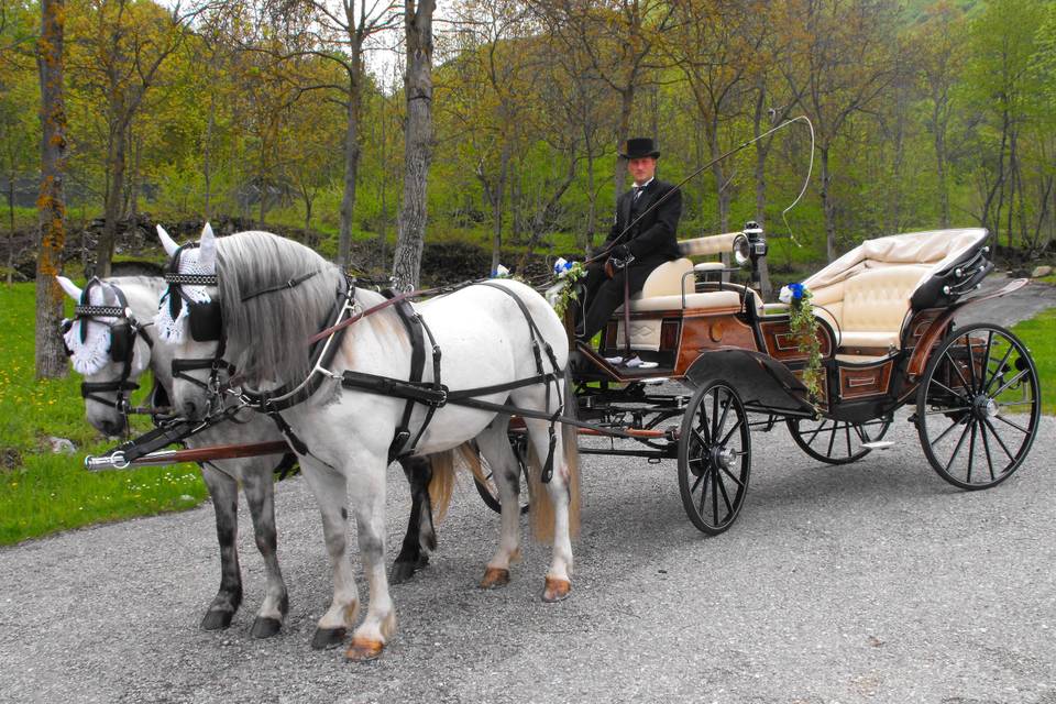 Servizi in carrozza