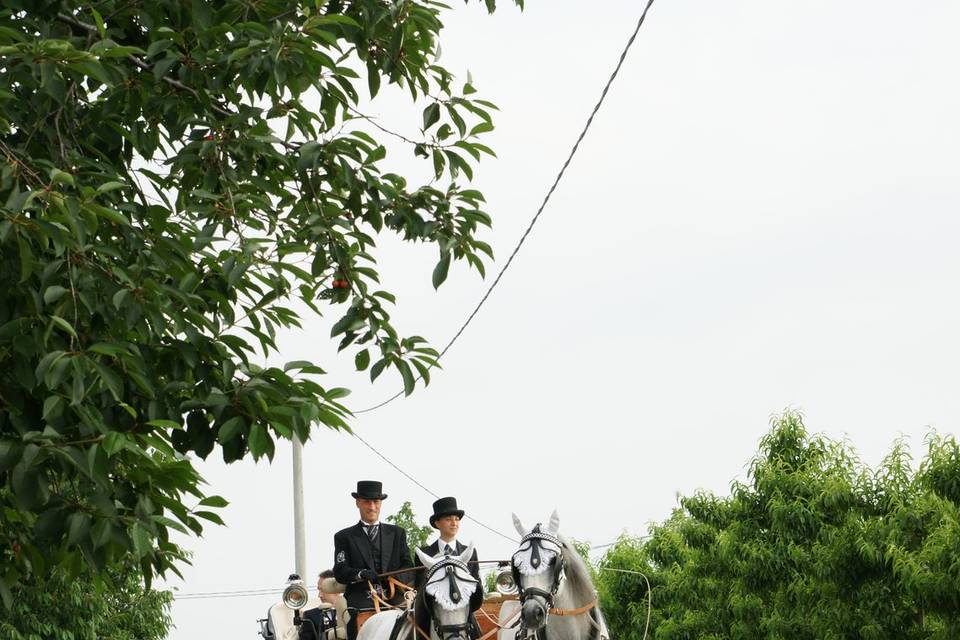 Servizi in carrozza