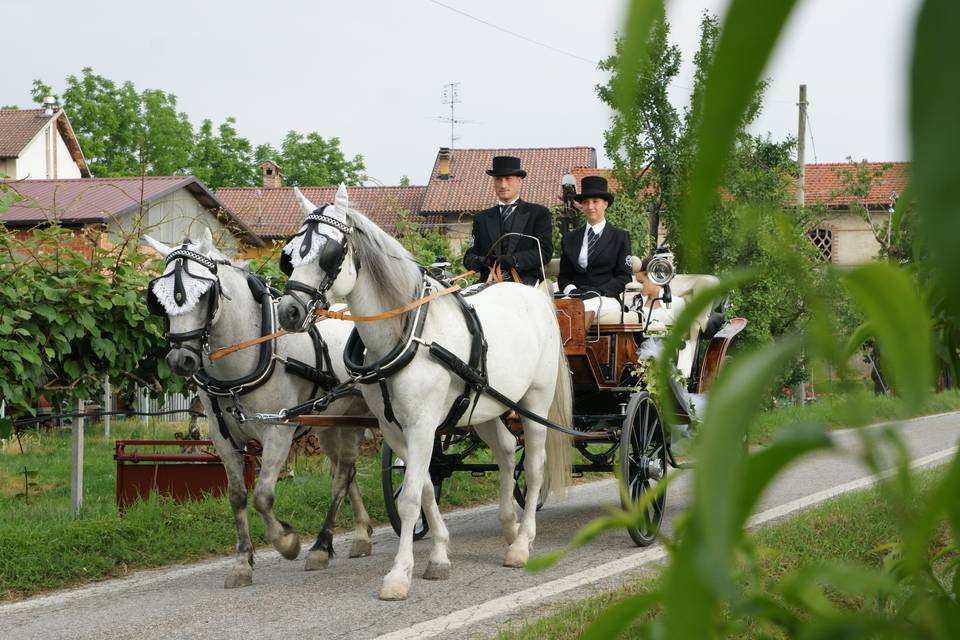 Servizi in carrozza