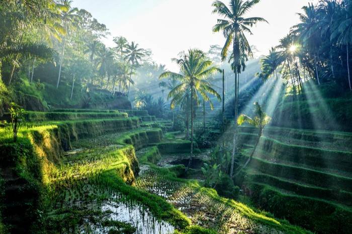 Bali Indonesia