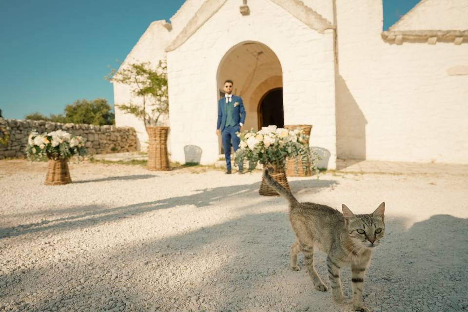 Omar e Ligia