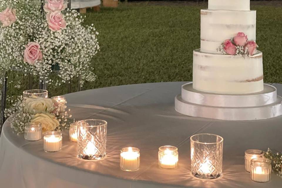 Nude Cake