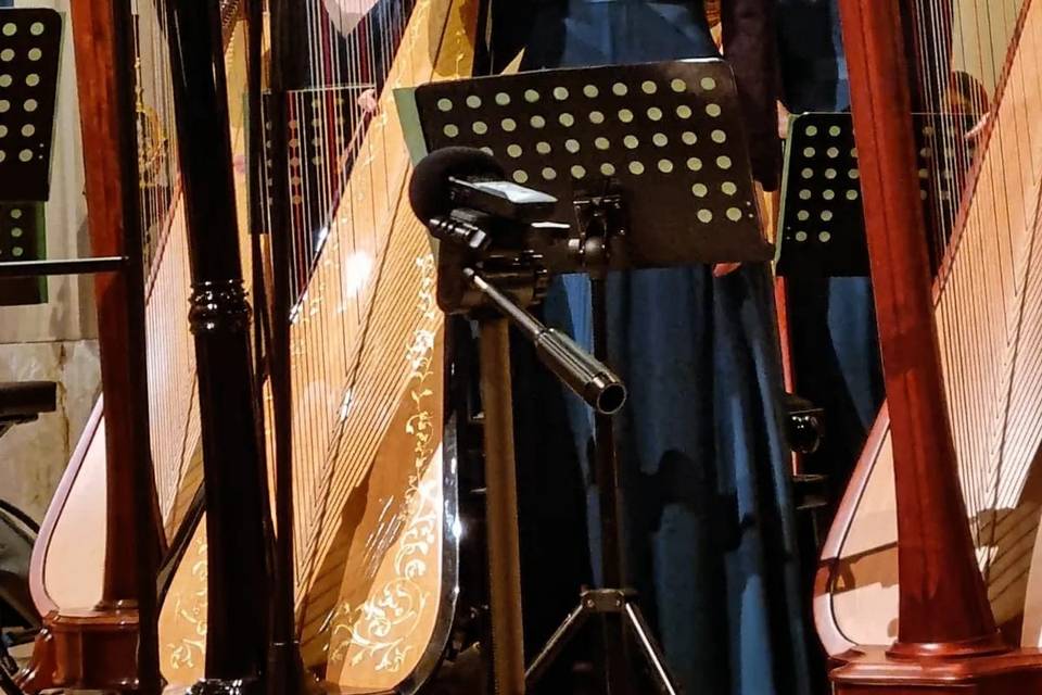 Ensemble di arpe