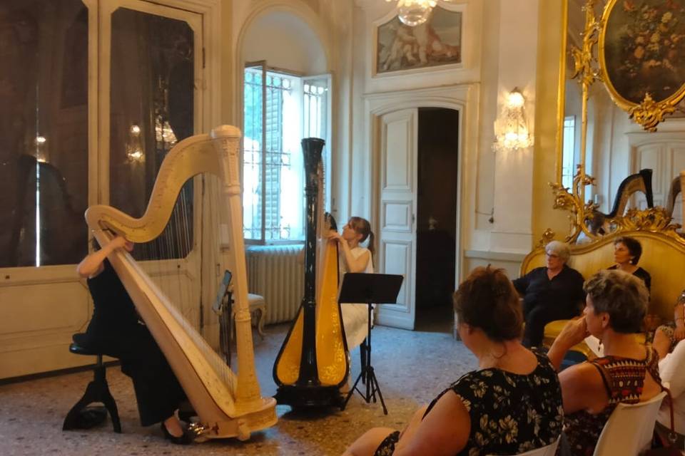 Duo d'arpe Iridiana
