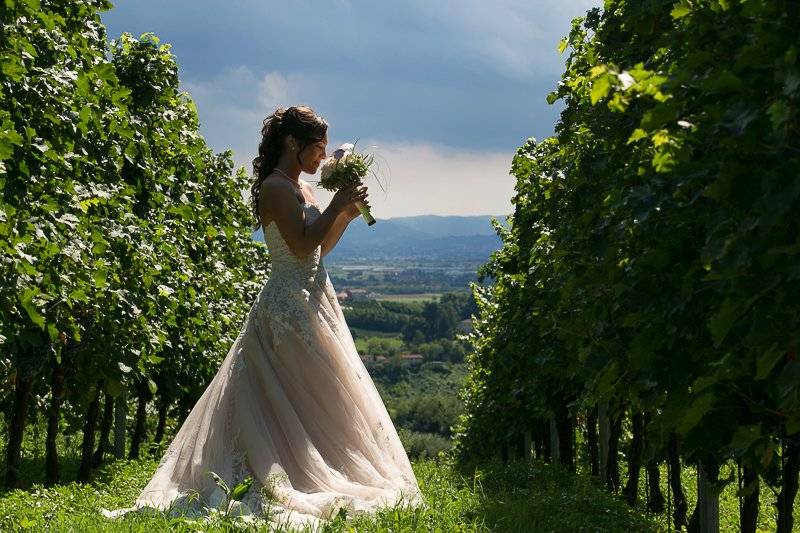 Azienda Agricola  Ca’ Biasi