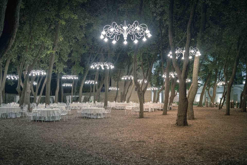 Lampadari nel bosco