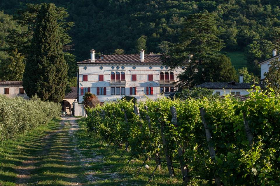 Villa Premoli e vigneto