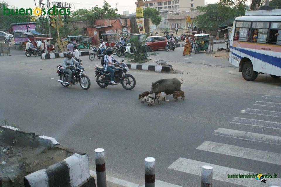 India.