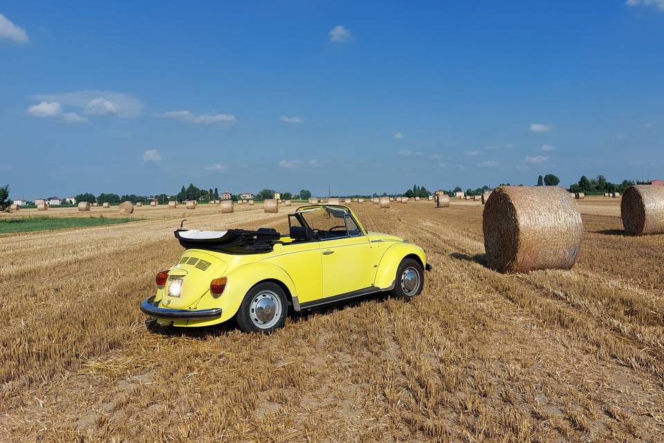 Targa originale