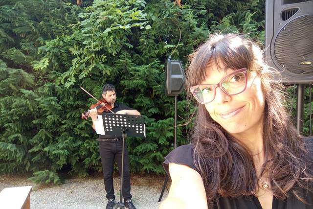 Violino tastiera