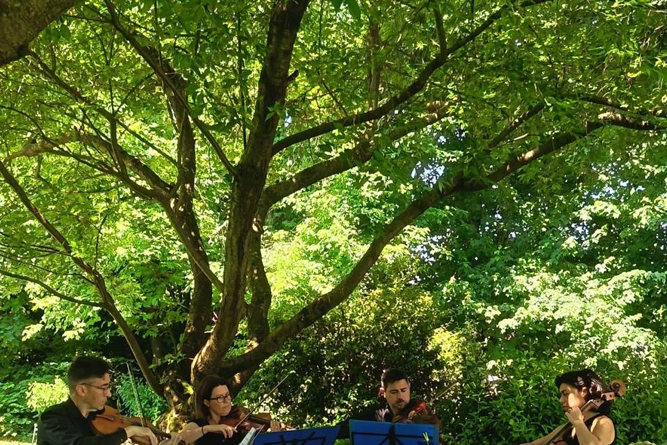 Quartetto