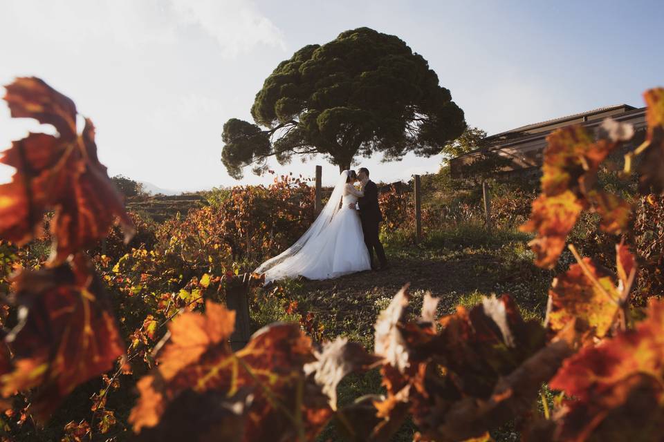 Emanuele Bellini Fotografo