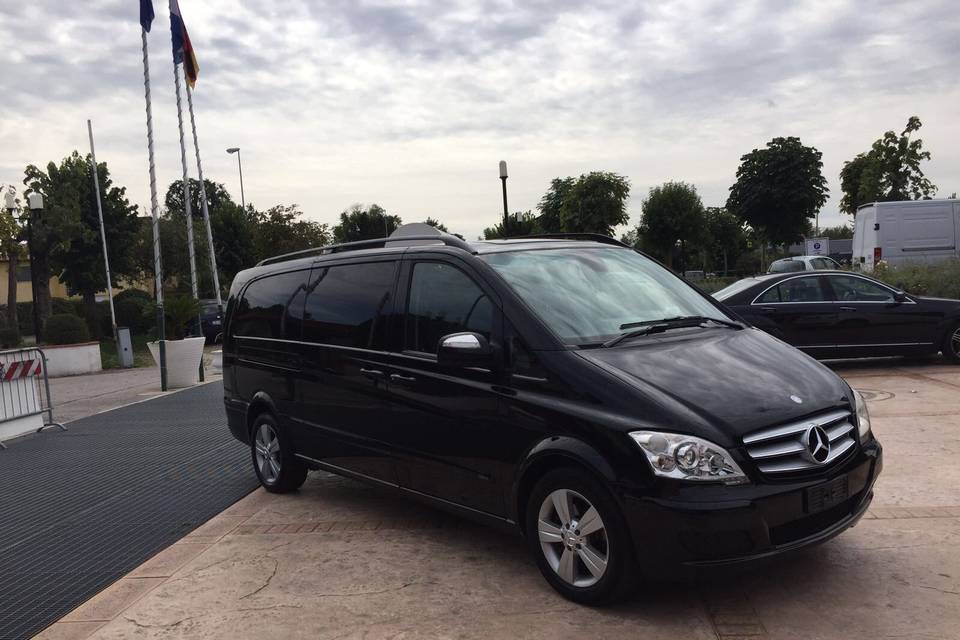 Mercedes Viano