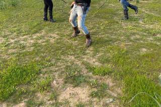 I Crazy