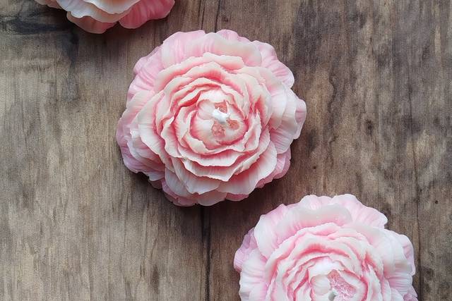 Peonie profumate