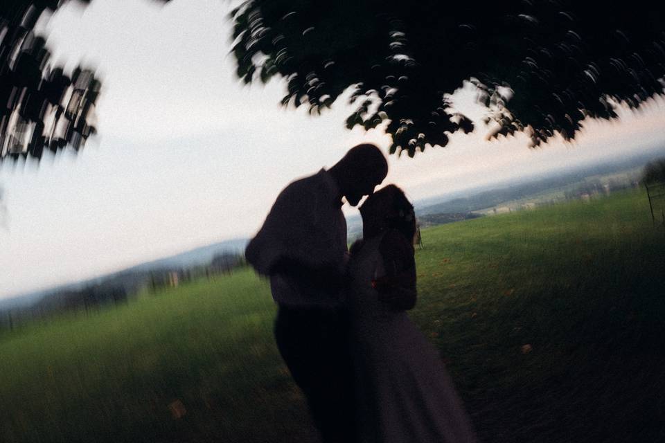 Matrimonio svedese a baronesse