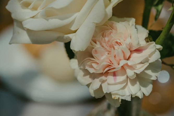 Dettaglio fiori