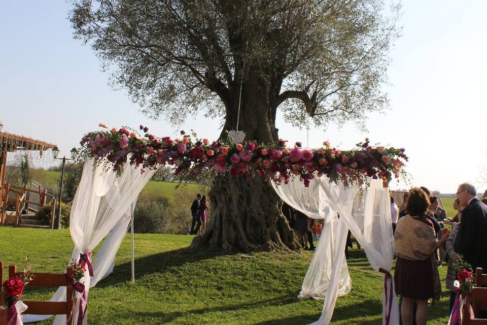 Agriturismo Poggio dei Cavalieri