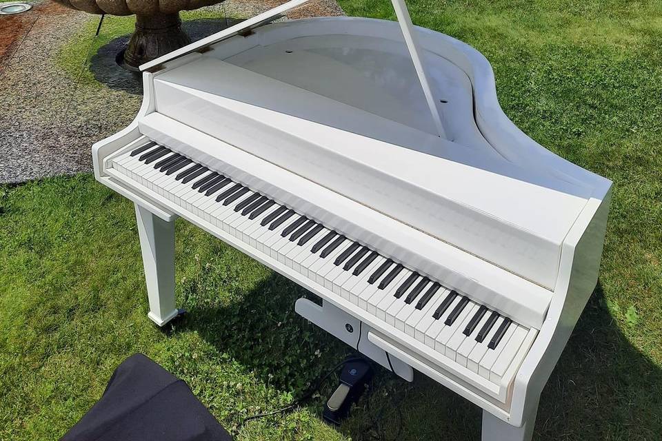 Il piano bianco esclusivo