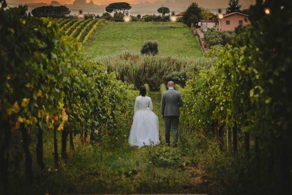 Tra le vigne_02