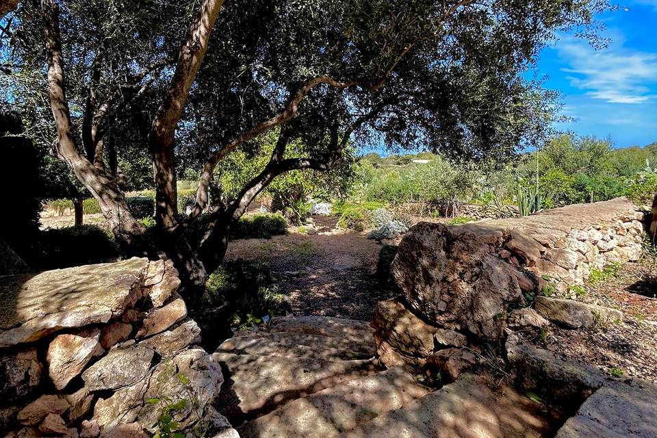 Il nostro Giardino