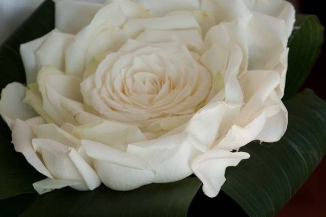 Wedding Planner Verbania