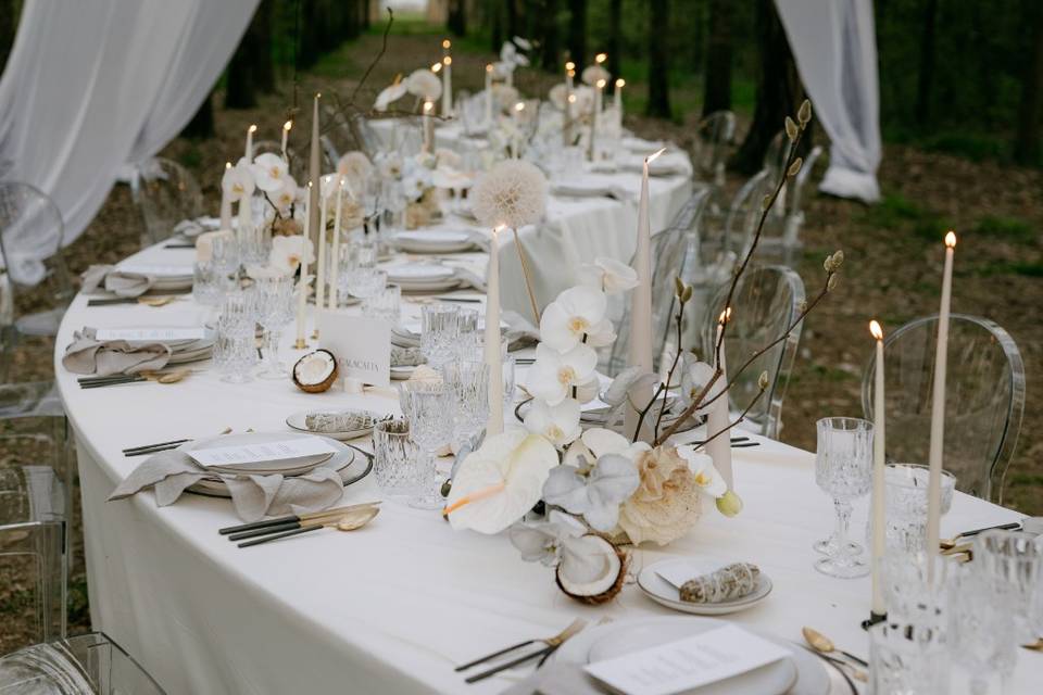 Cena nel bosco