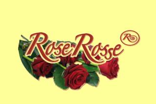 Rose Rosse