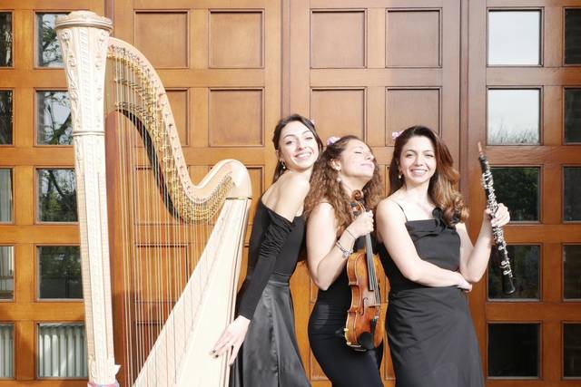 Concerto presso rivalta (RE)