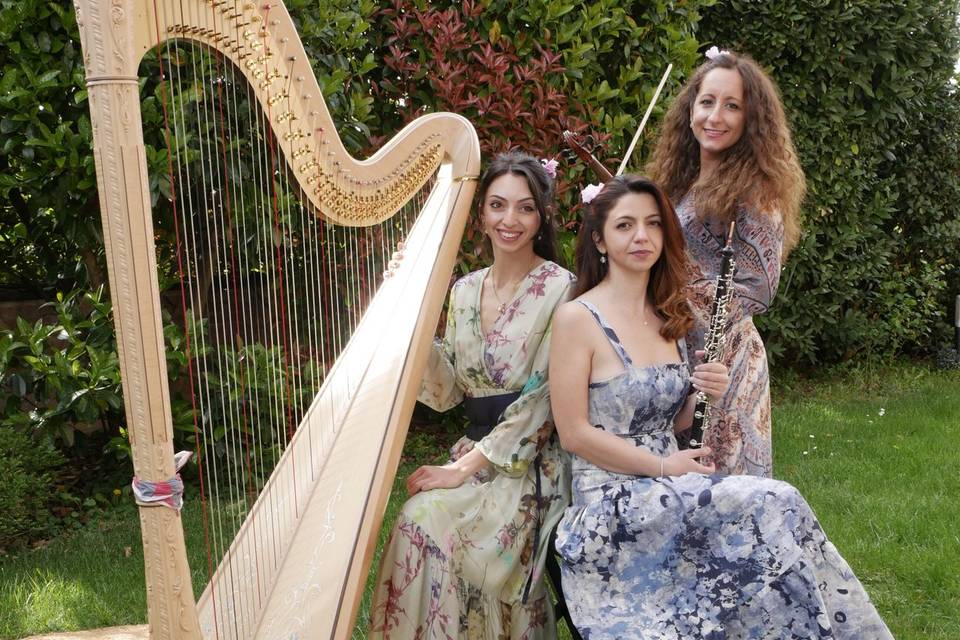Trio Desirée