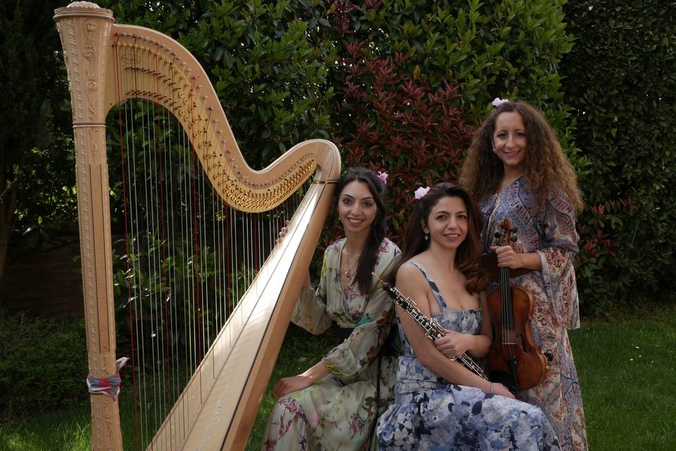 Concerto reggio emilia