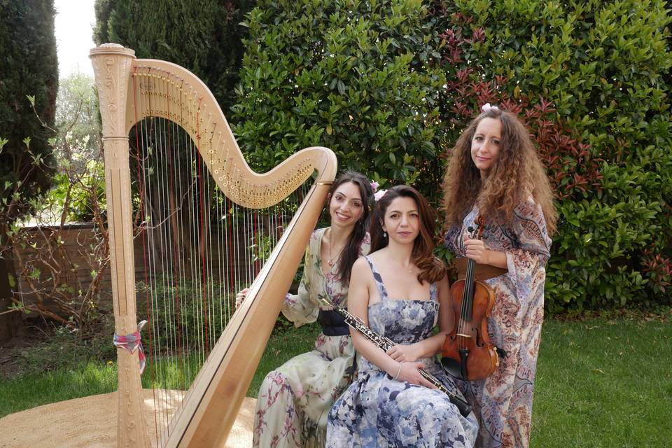 Concerto reggio emilia