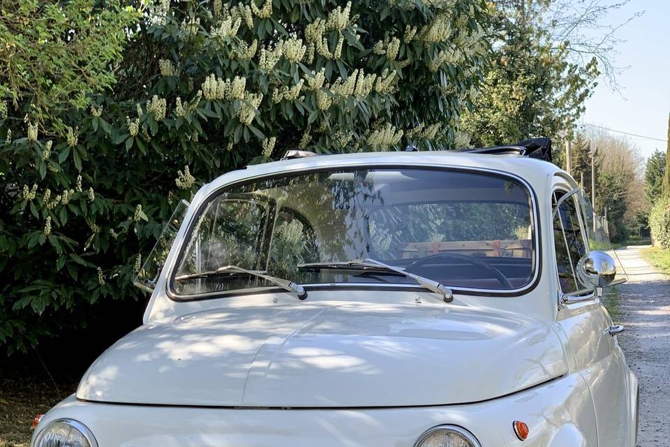 Fiat 500 bianca