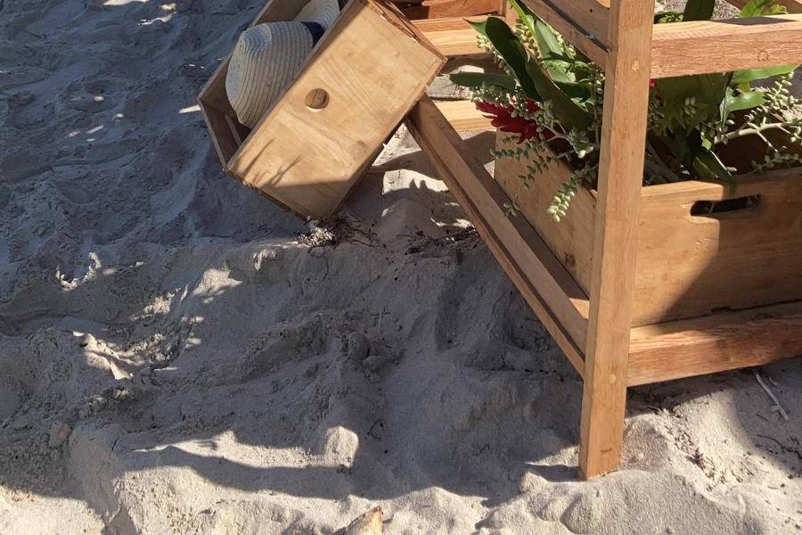 Matrimonio sulla spiaggia Cuba
