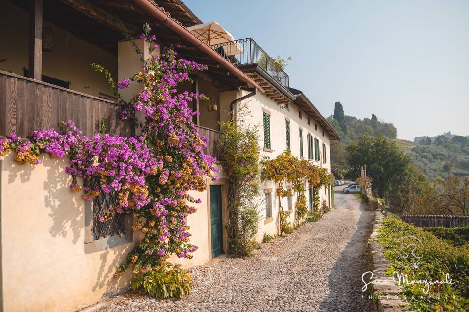 La passerella