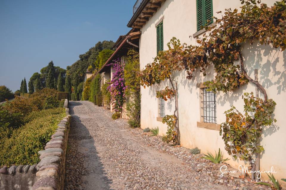 La passerella