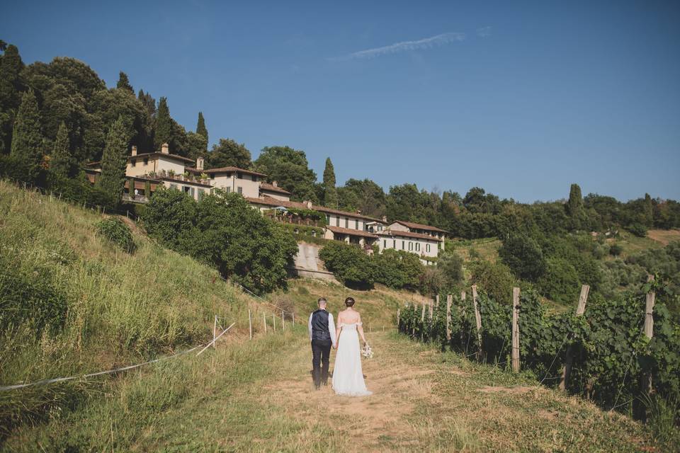 Le vigne