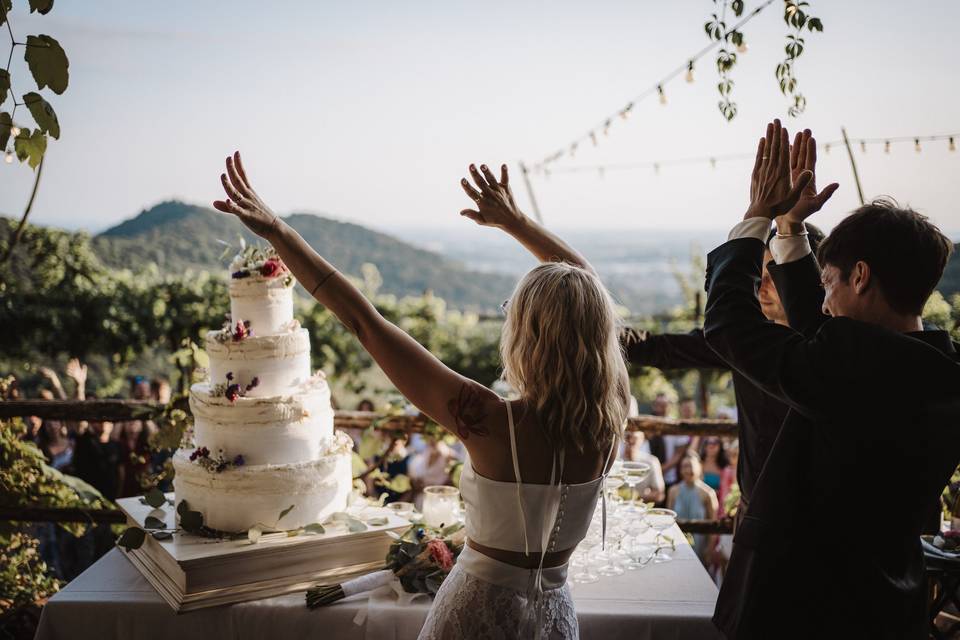 Il Taglio Torta