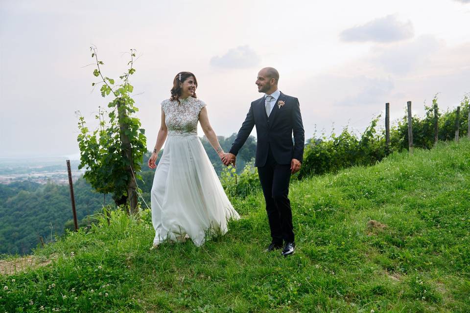 Le vigne