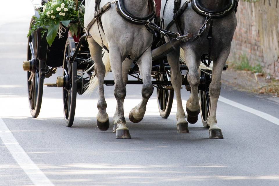 Carrozza