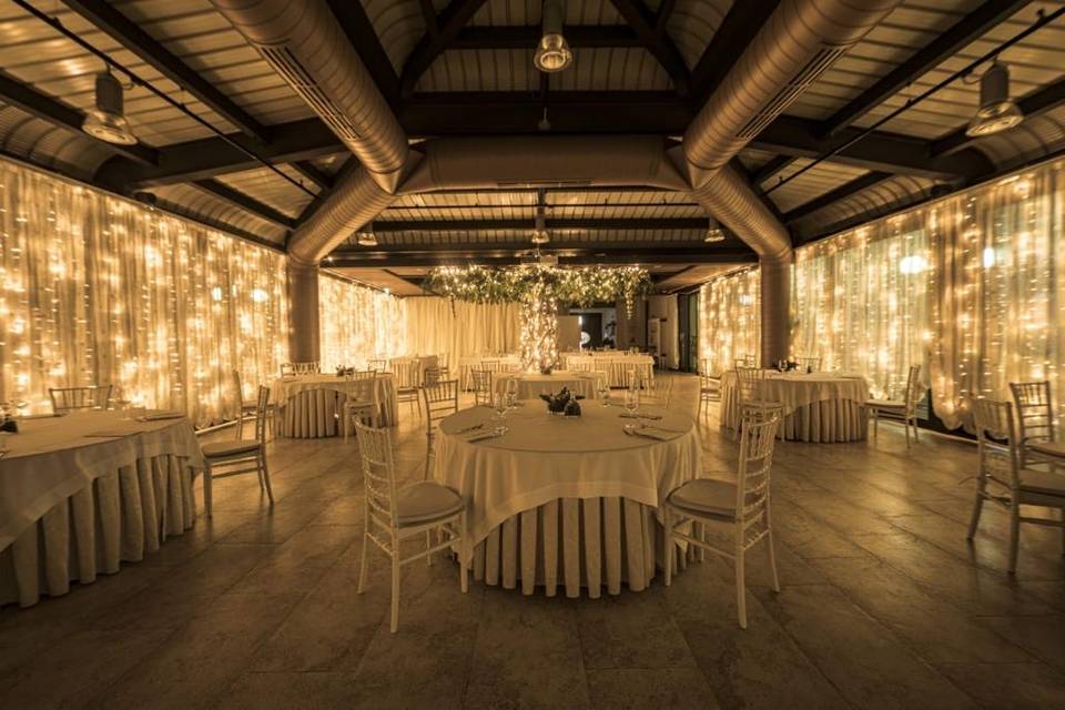 Sala del cigno