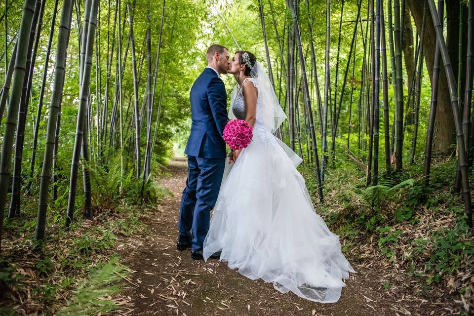 Love between Bamboos