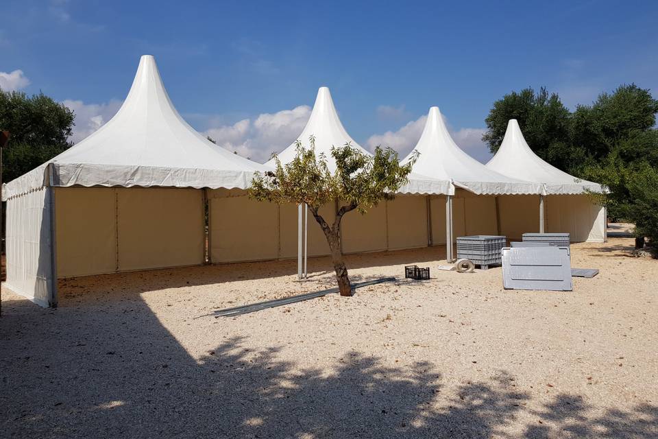 Vision Tents