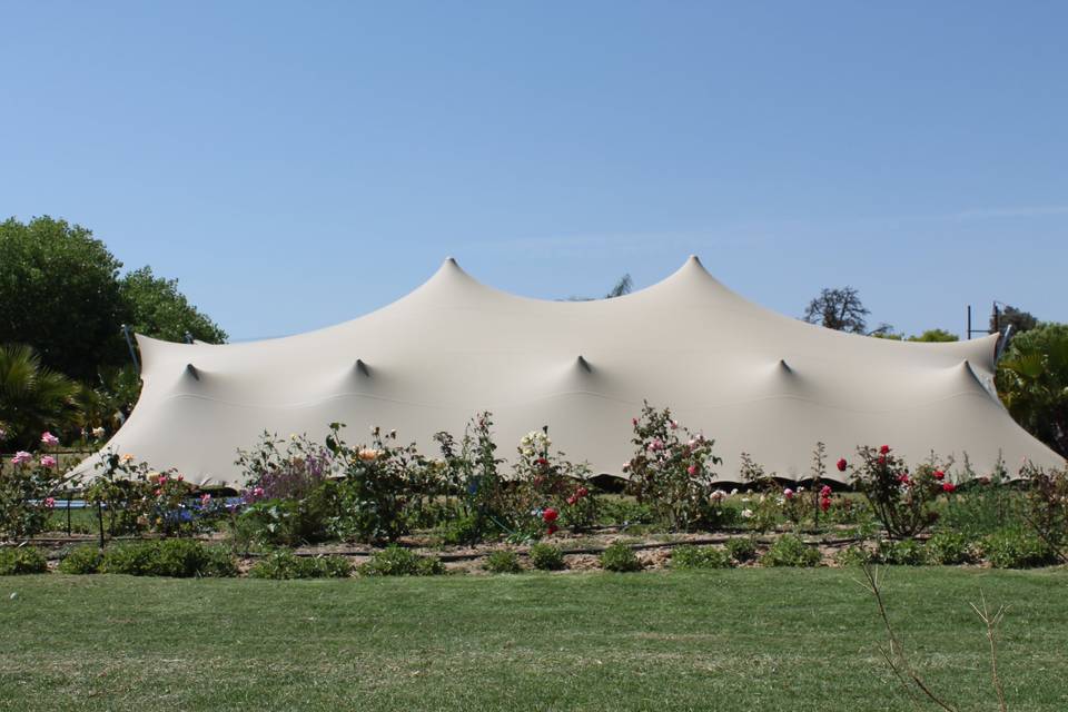 Vision Tents