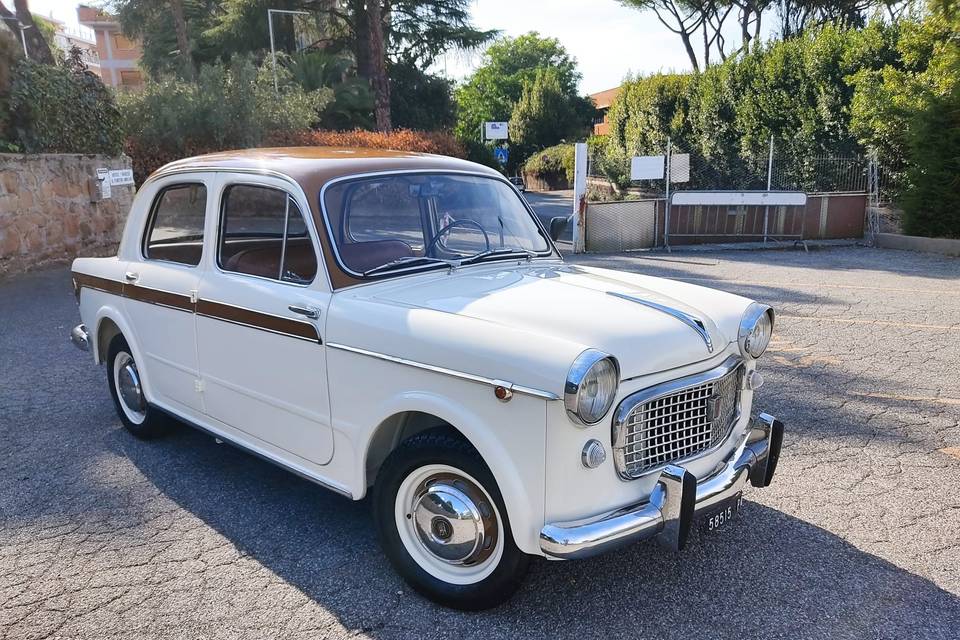 Fiat 1100 Special