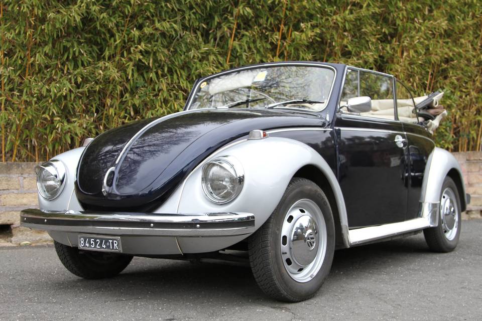 VW Beetle Cabrio