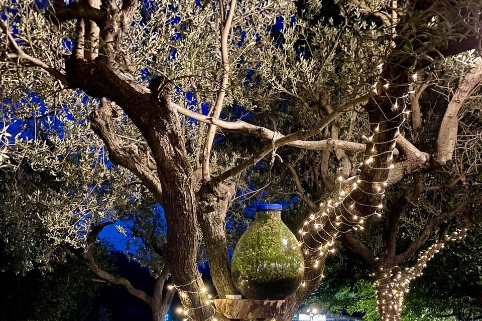 Fairy Light