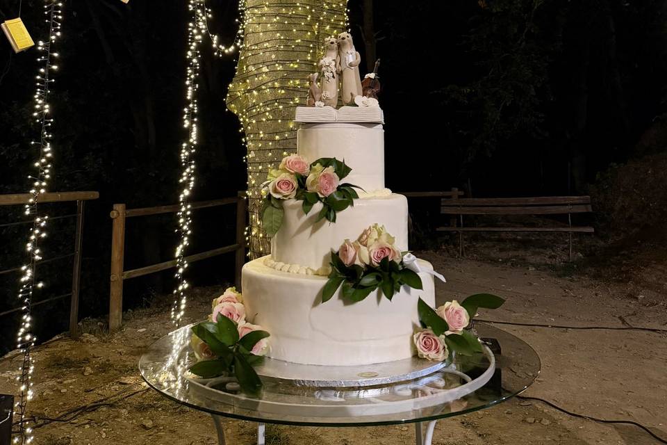 Illuminazione Taglio torta